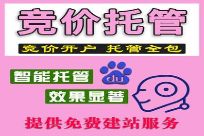 探索SEM优化公司如何助力企业品牌建设